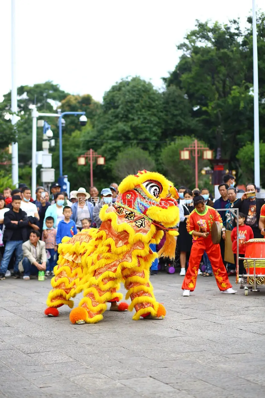 节庆彩狮舞动观众围观图片