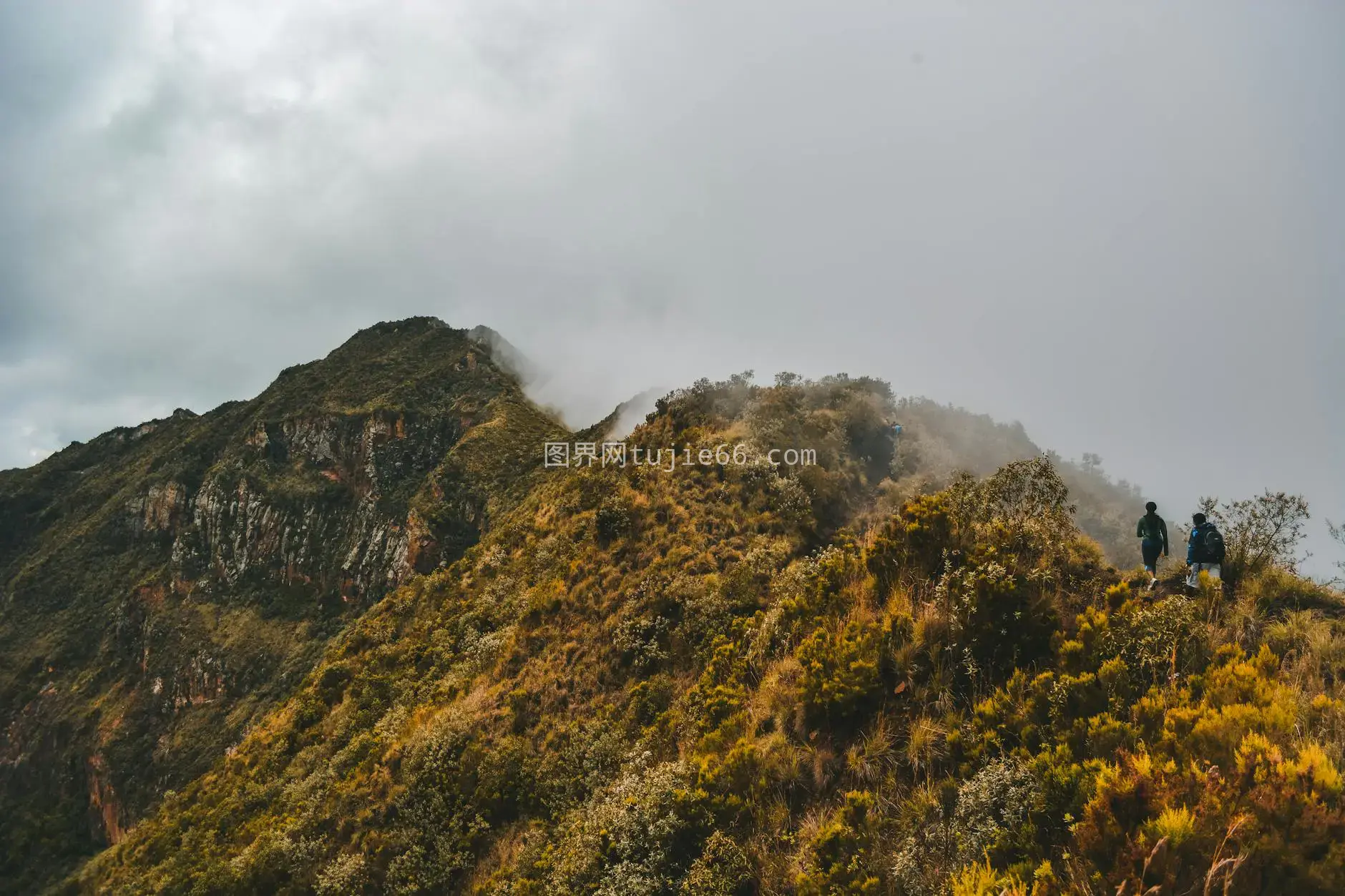 迷雾中探险 登山者植被环绕山脊图片