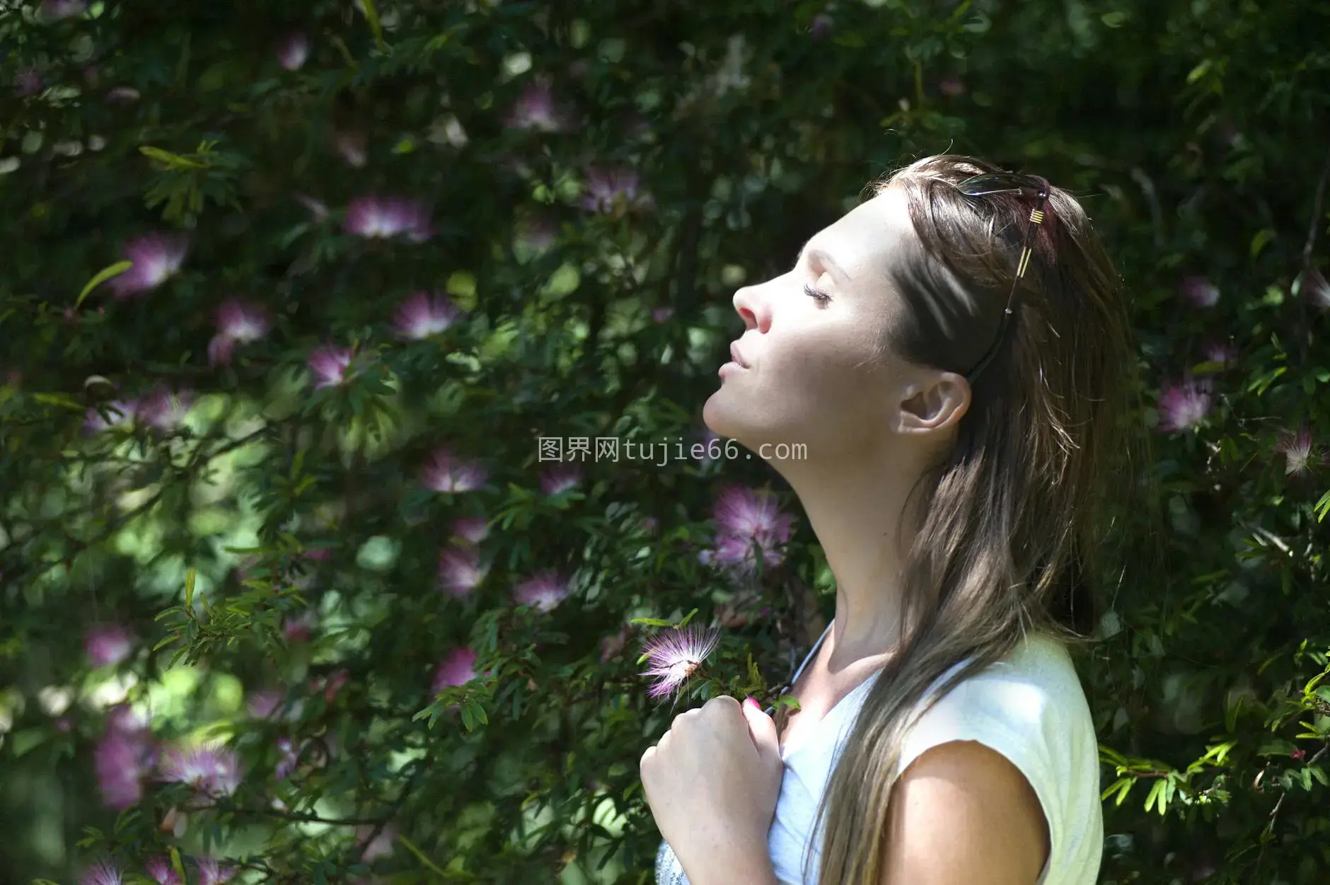 女性花园宁静花朵图片