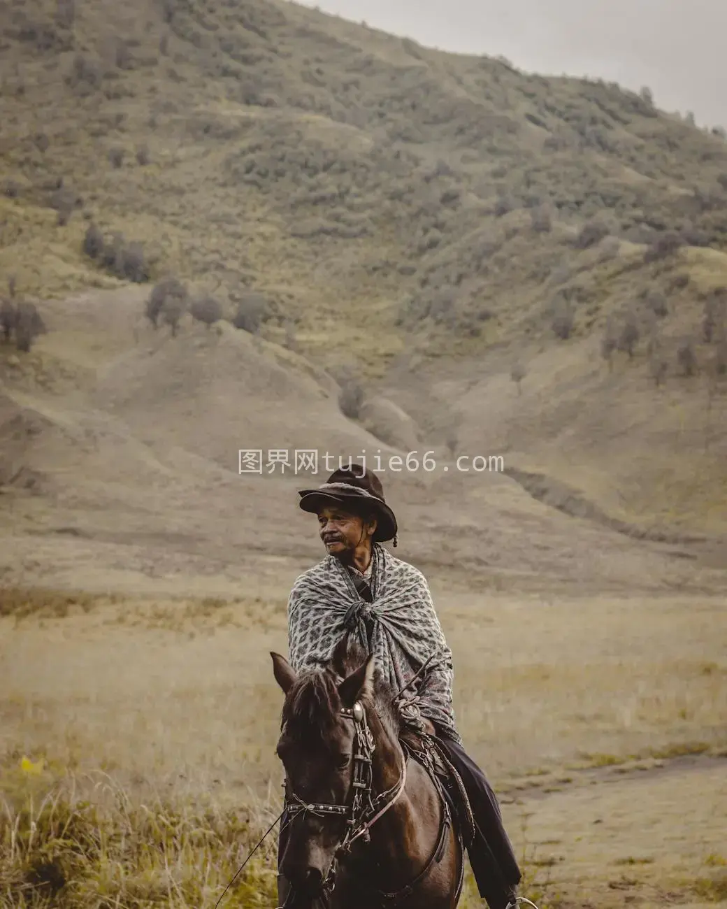 东爪哇老人骑马牛仔帽风景图片