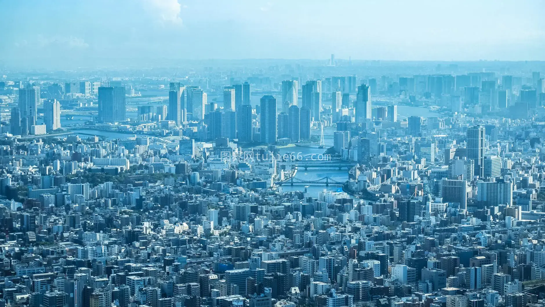 东京摩天城市空中美景图片