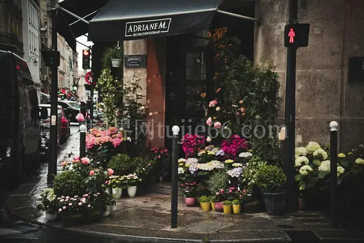 都市花店风景如画