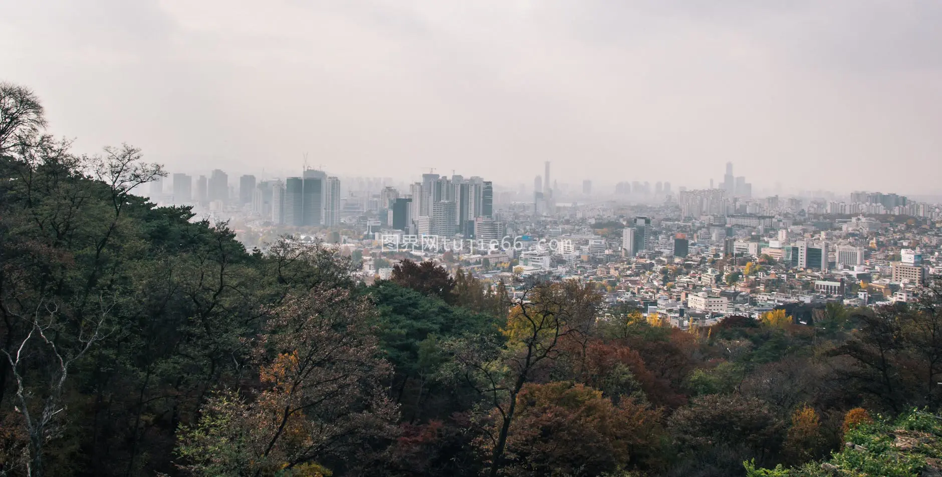 雾中首尔秋叶天际线全景图片