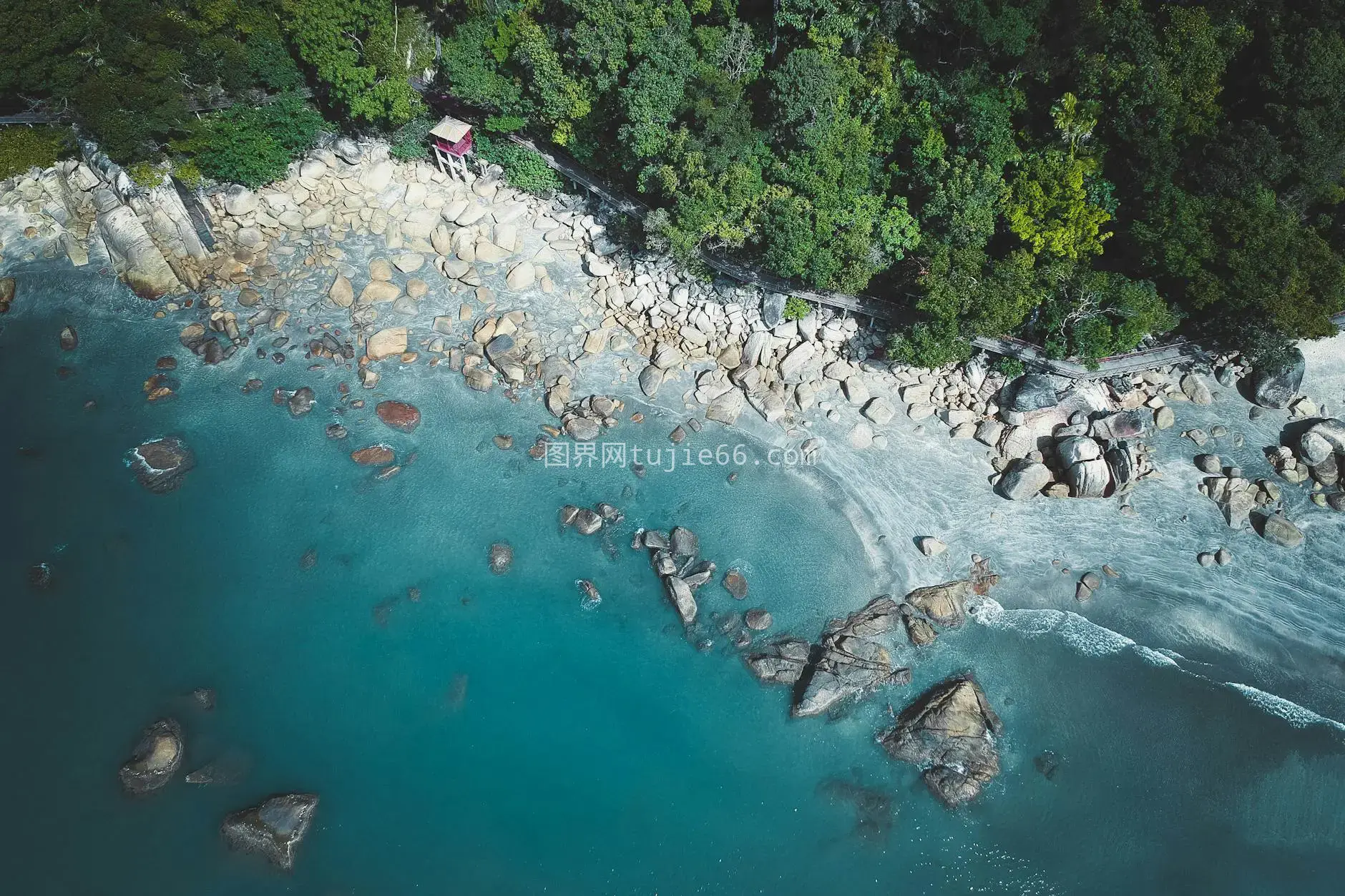 高空拍摄碧蓝海水岩石海岸茂密森林自然爱好者之选图片