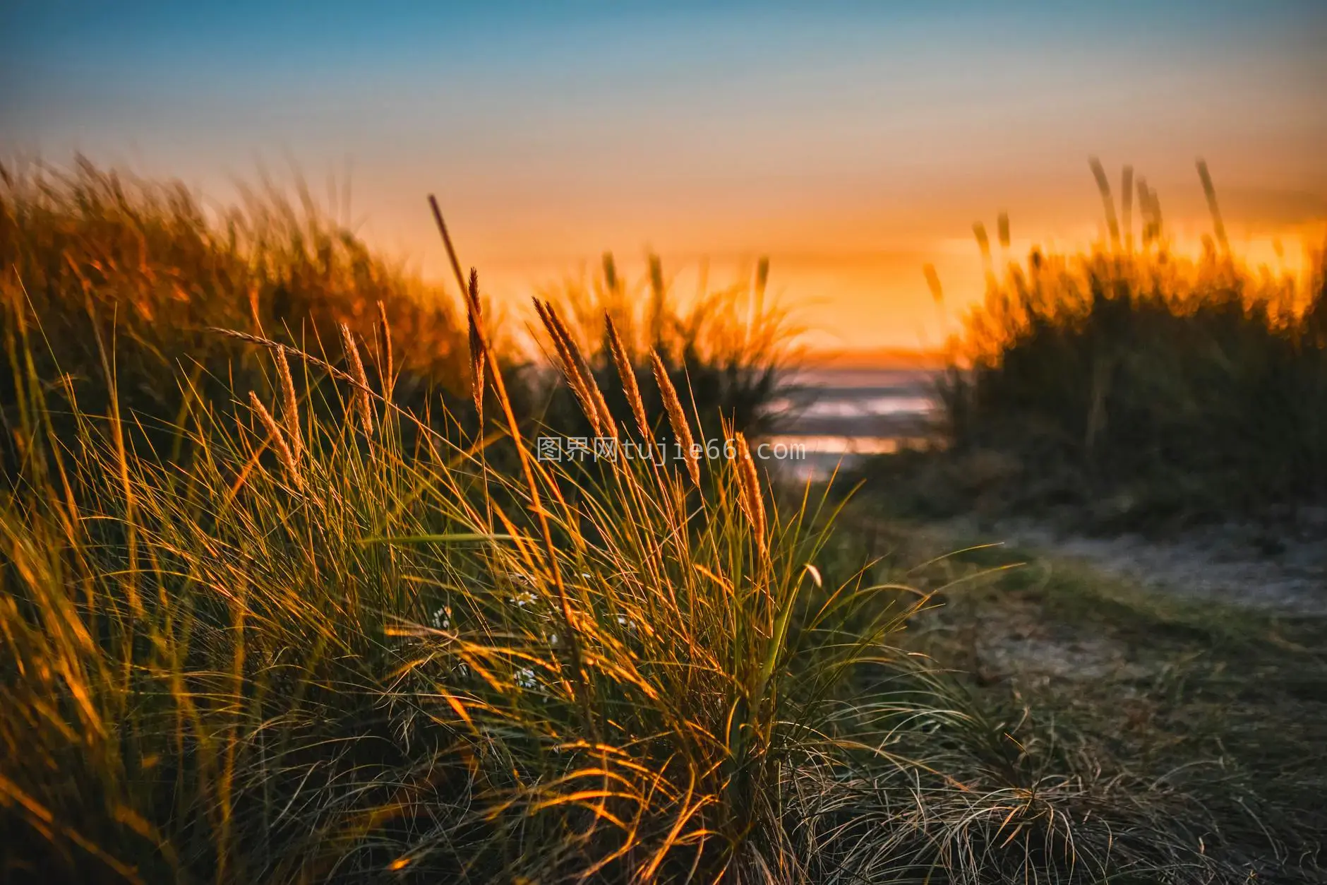 宁静海滩日落景致图片