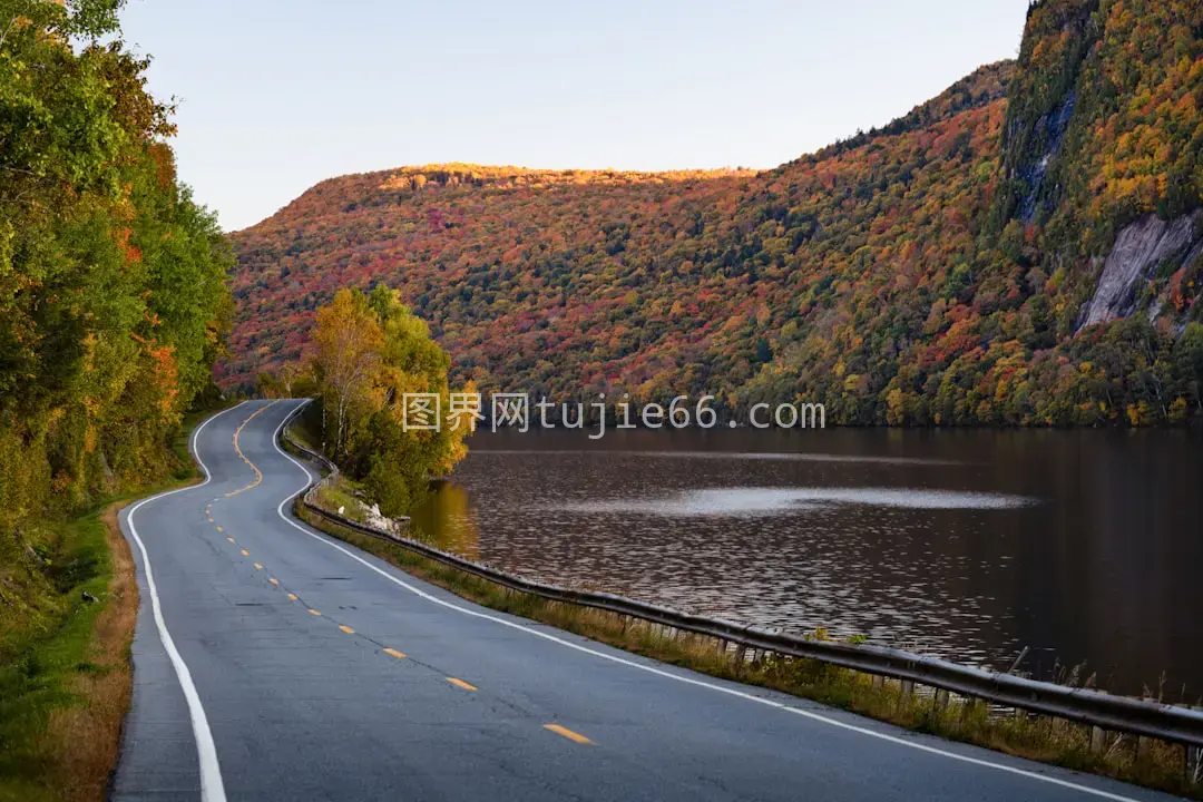 蜿蜒道路旁树木环绕水体图片