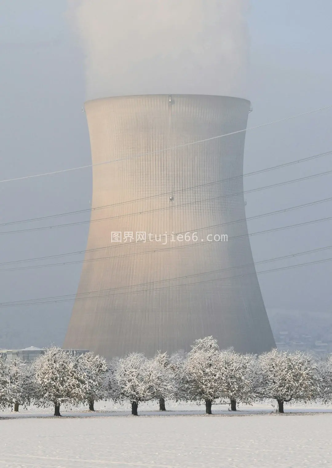 雪中核电站树木环绕景致图片