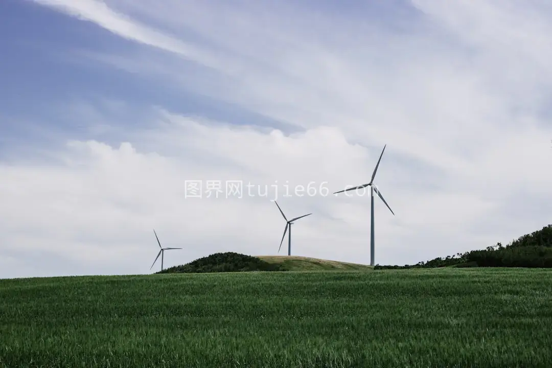 绿野三风车景致图片