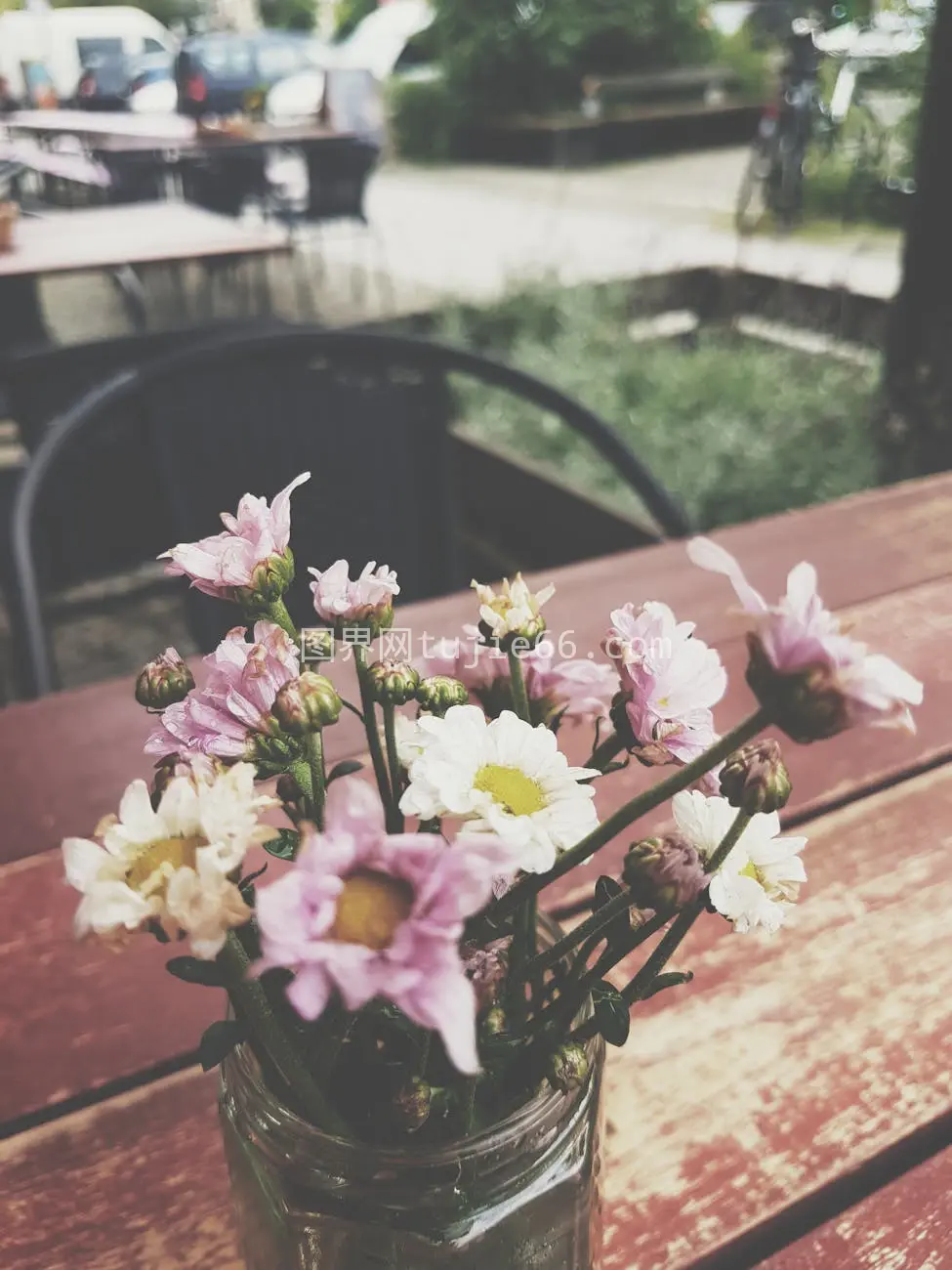 乡村餐桌花朵装饰用餐环境宜人图片