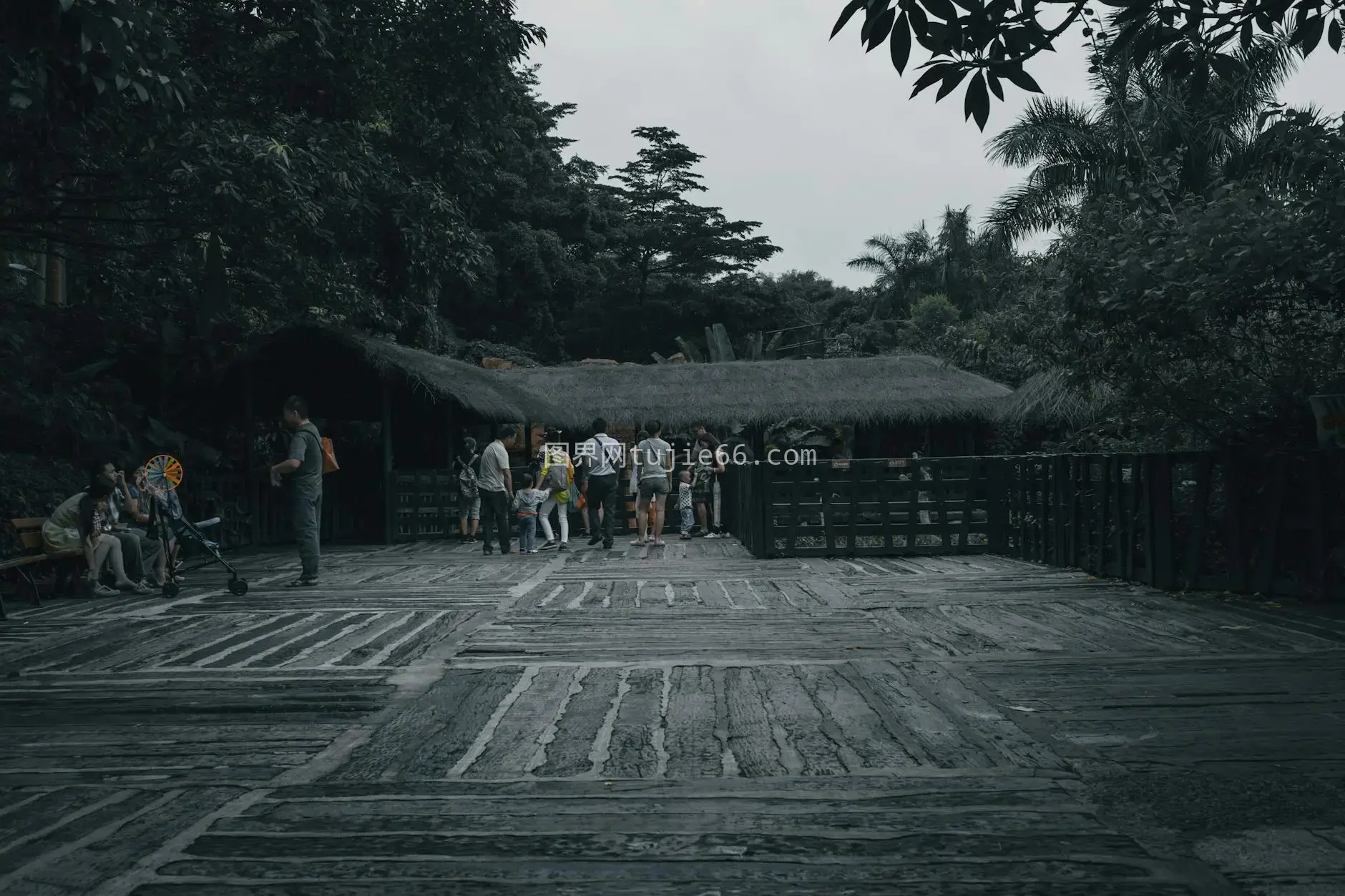 夏日匿名族裔行走在粗糙人行道旁老屋茂树间图片