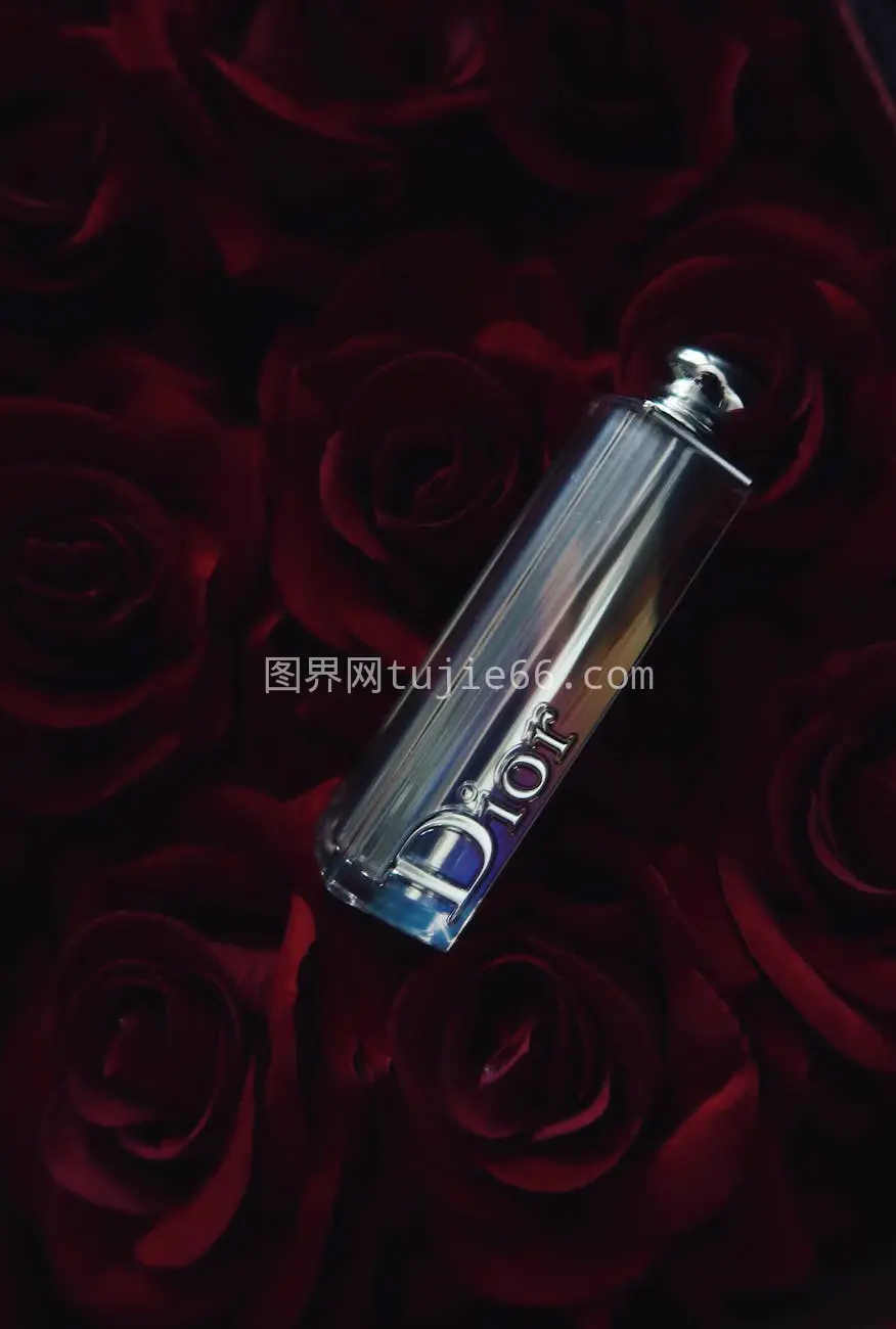 Dior瓶深红玫瑰奢华美图片