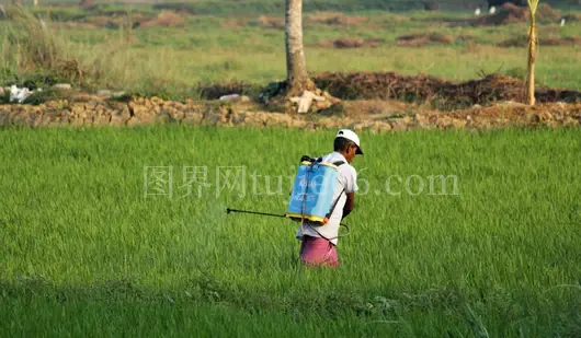 绿草地上背包男子行走