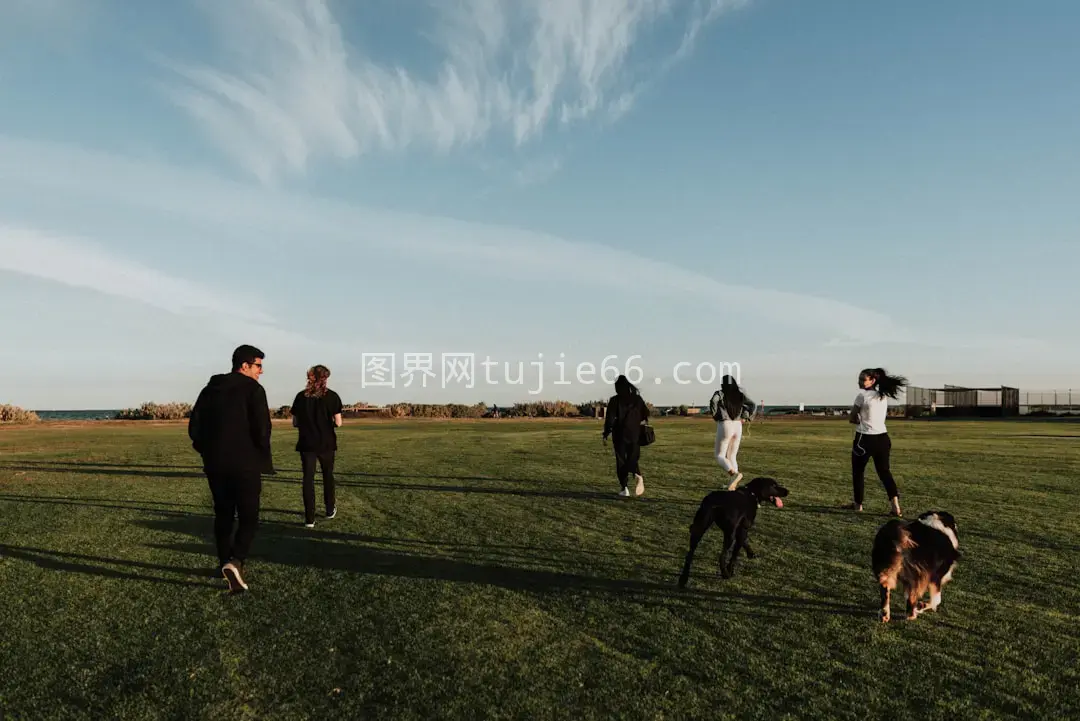 白天绿草地上人群慢跑图片