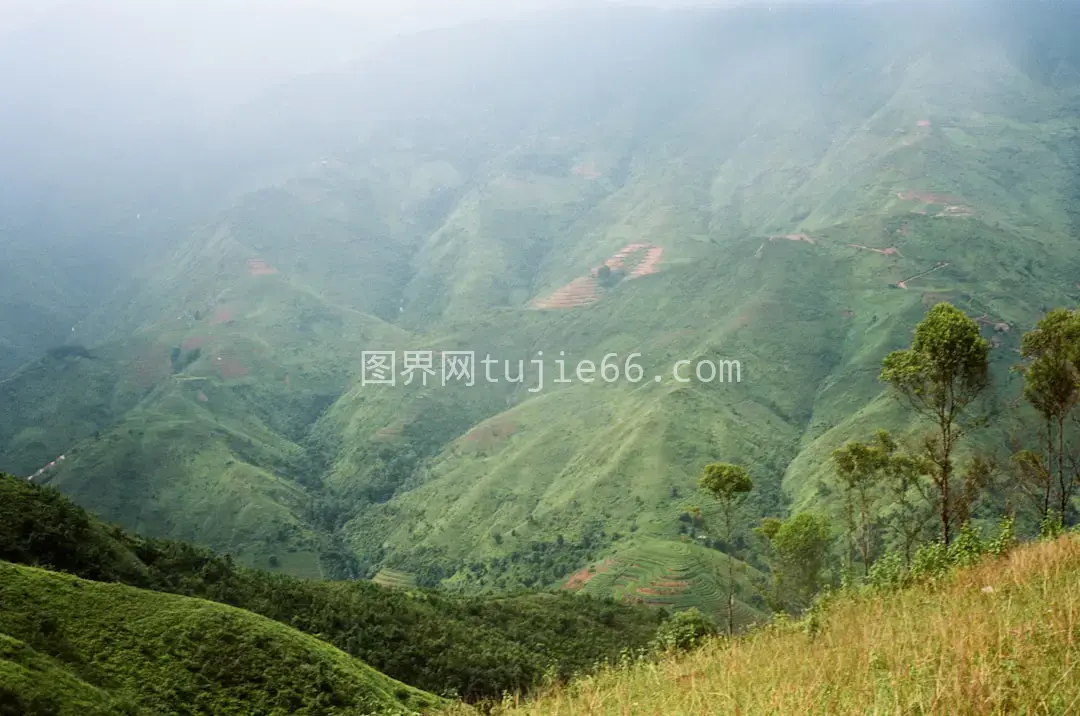 绿意盎然山丘树木茂盛图片