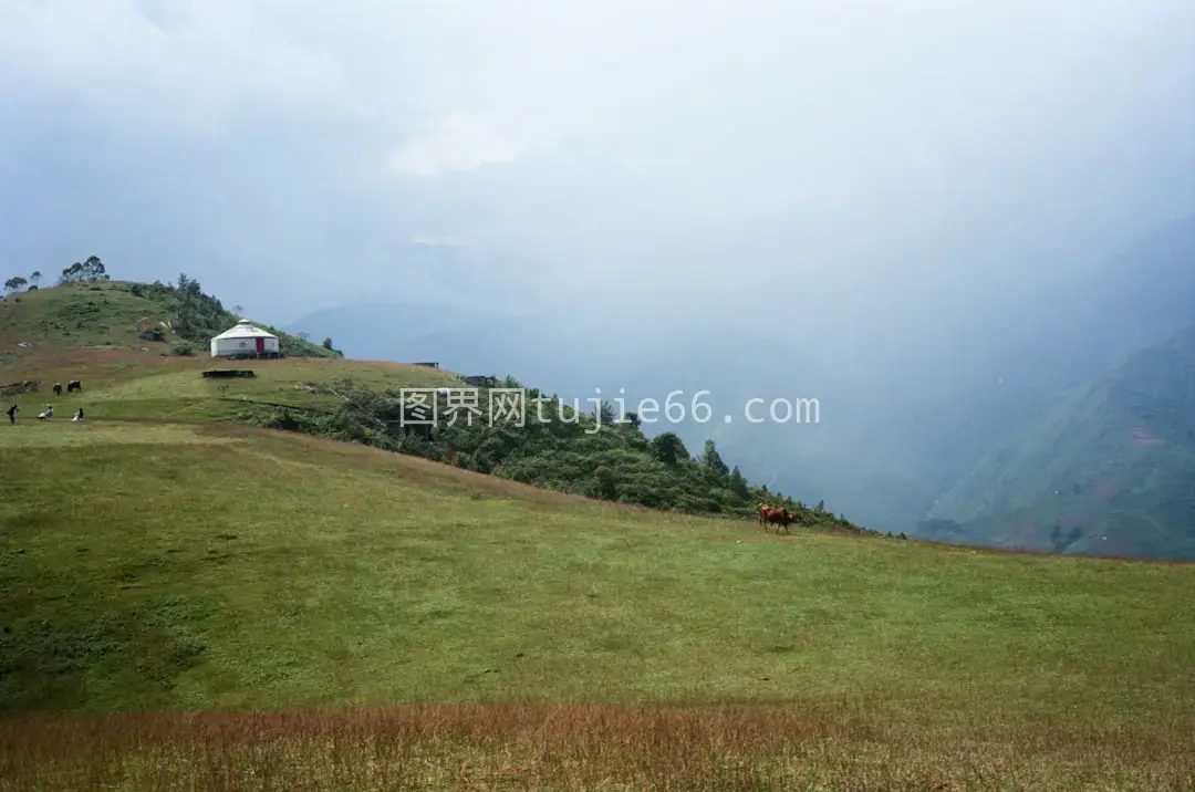 山顶草地房子景致图片