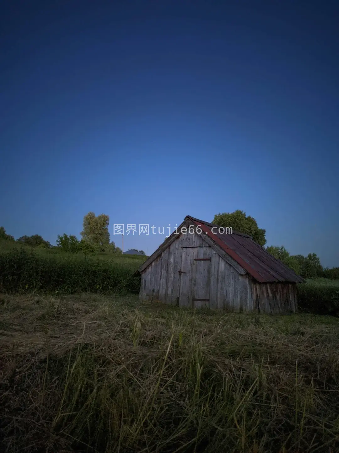 蓝天草地间木屋映日辉图片