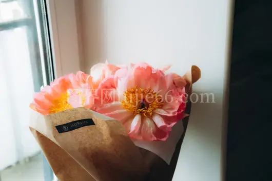 粉色白花束组合雅致美观