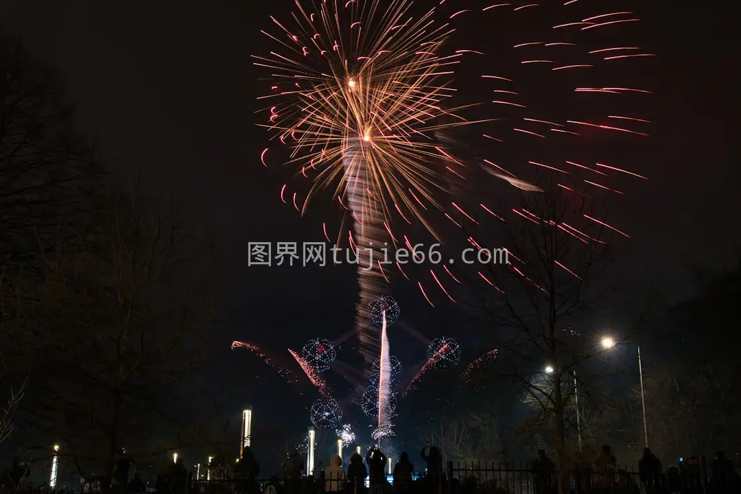 夜空烟花盛景图片