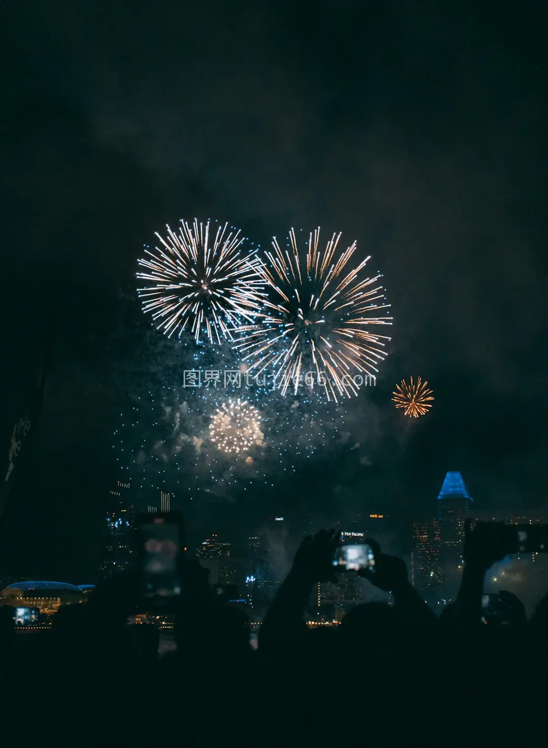 夜幕烟花人潮涌动图片