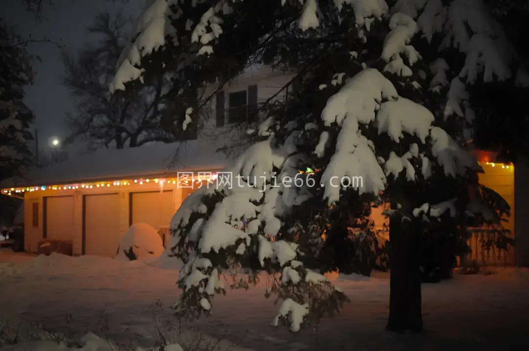 雪覆树枝房屋景图片