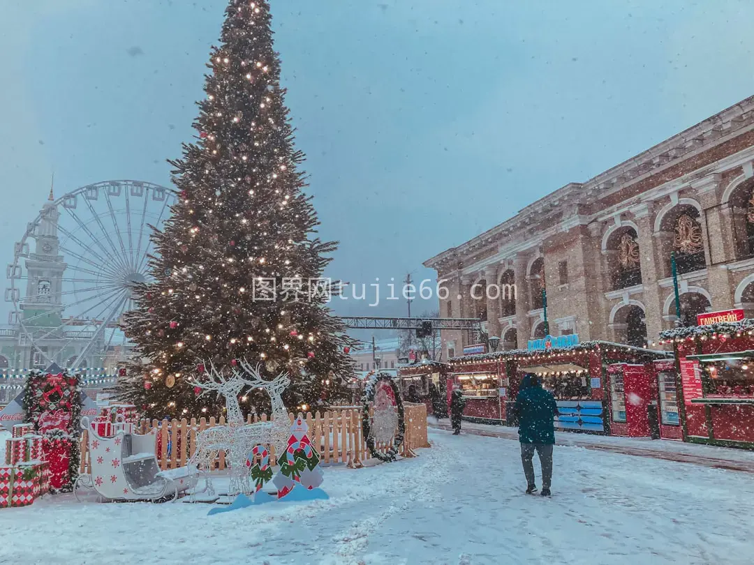 雪地行走圣诞树边白天景致图片