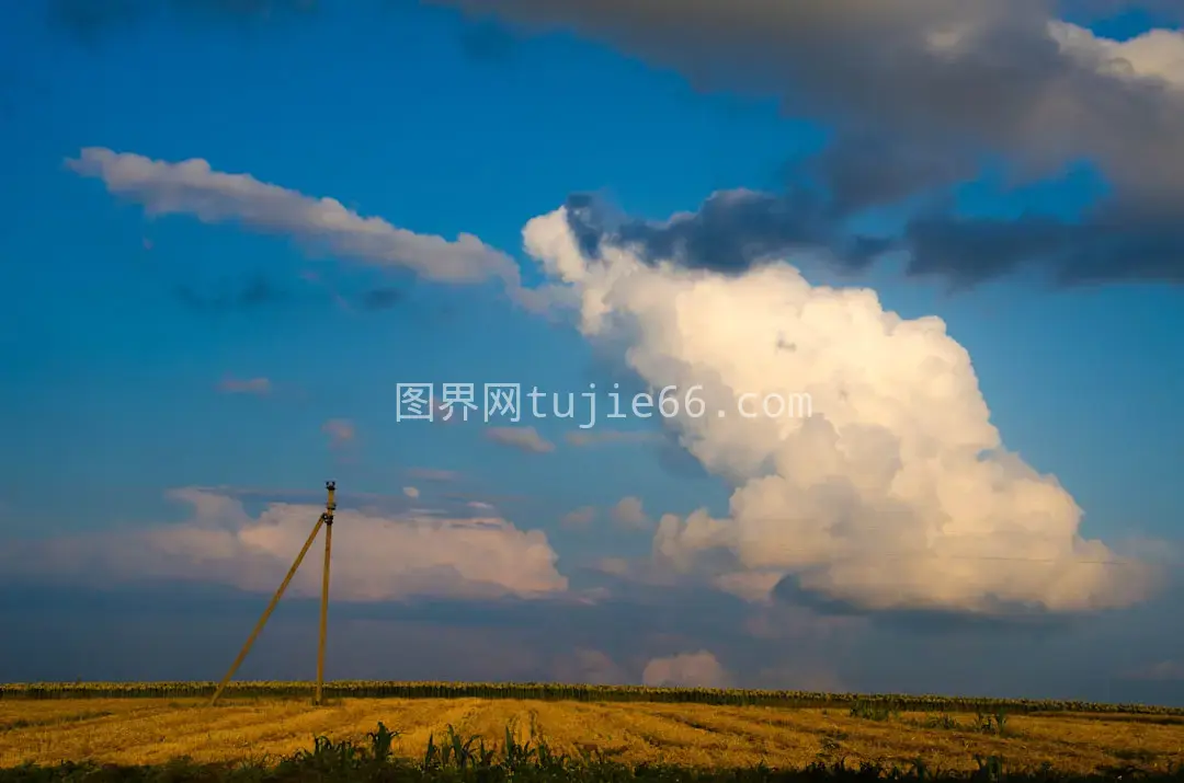 田野电线杆映衬蓝天白云图片