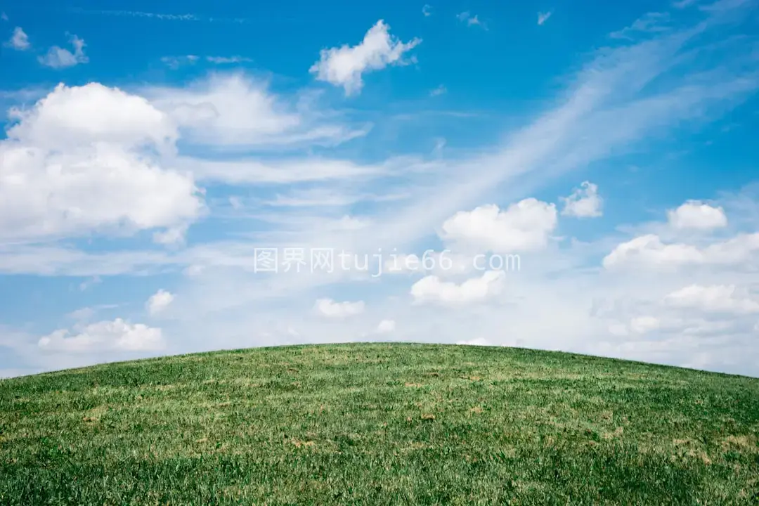 蓝天映衬下的草地风景图片