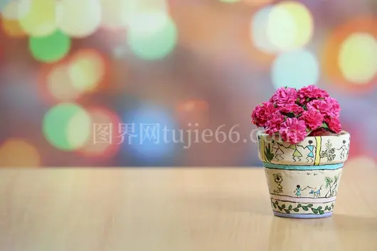 粉色花朵装饰盆虚化背景