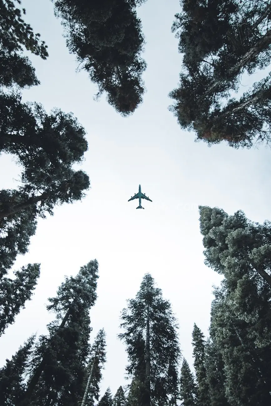 森林上空飞机俯瞰树冠图片