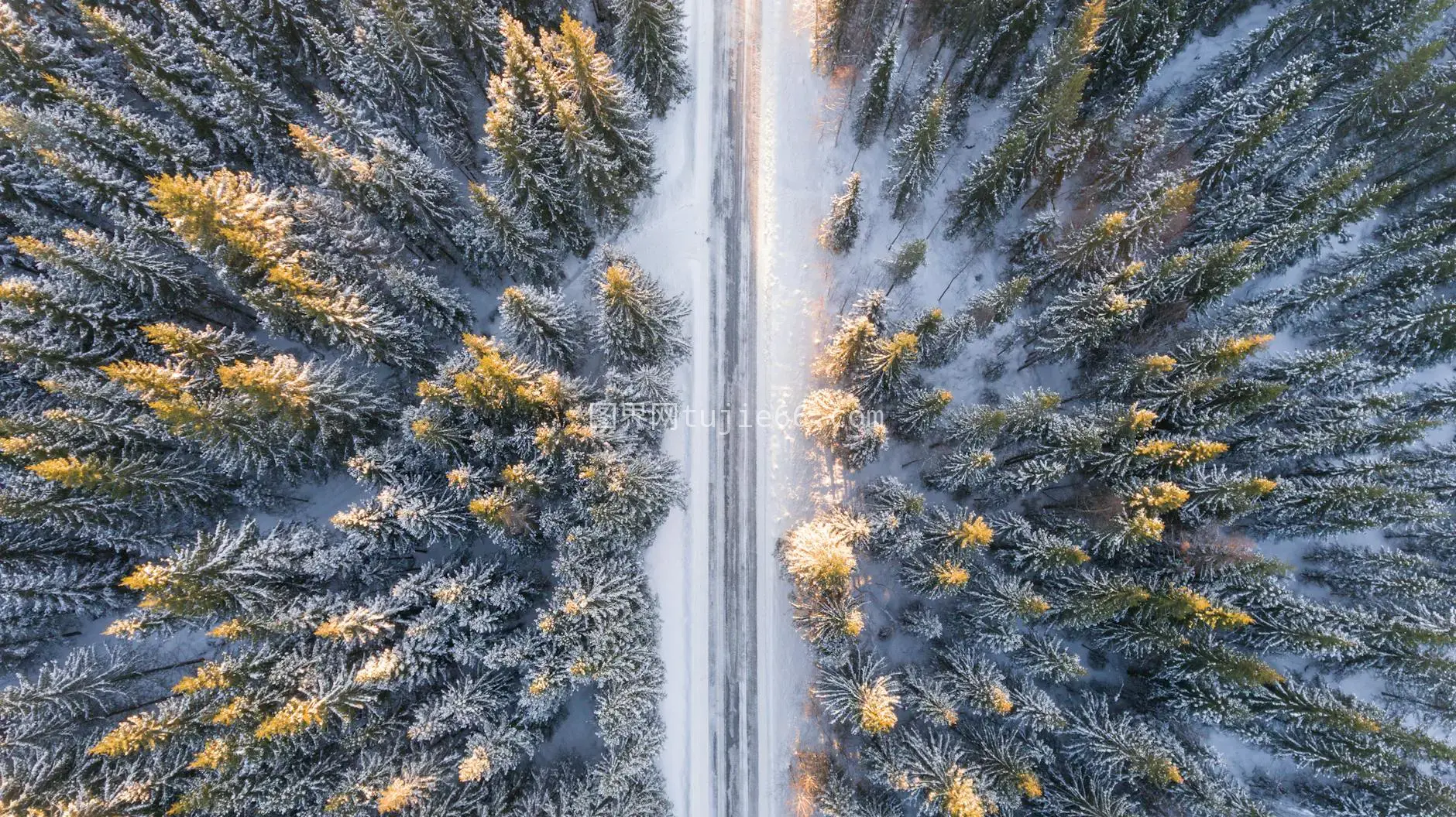 雪覆森林静路全景，冬季旅行佳景图片