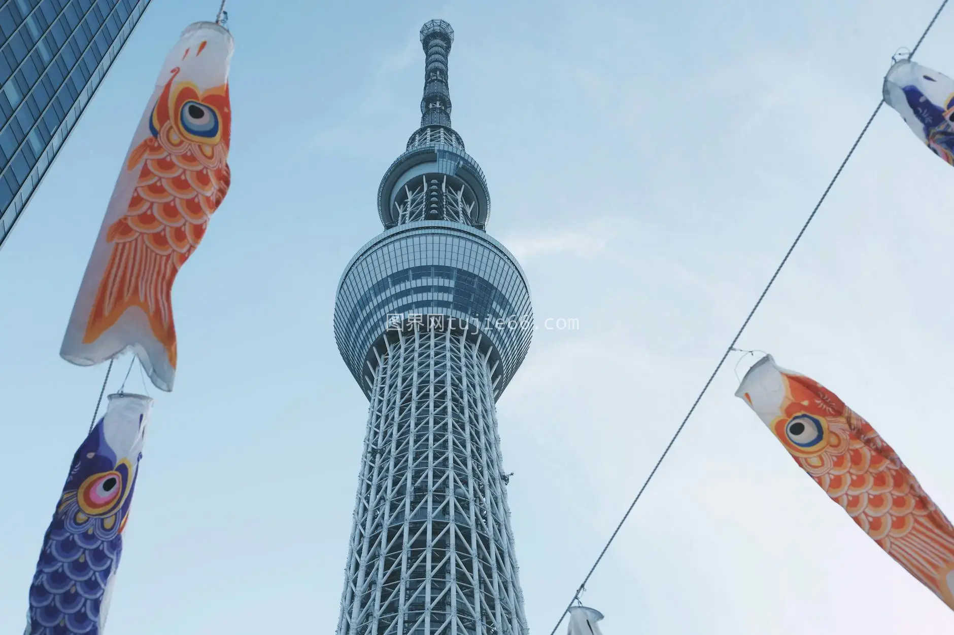 东京天空树鲤鱼旗庆典盛景图片