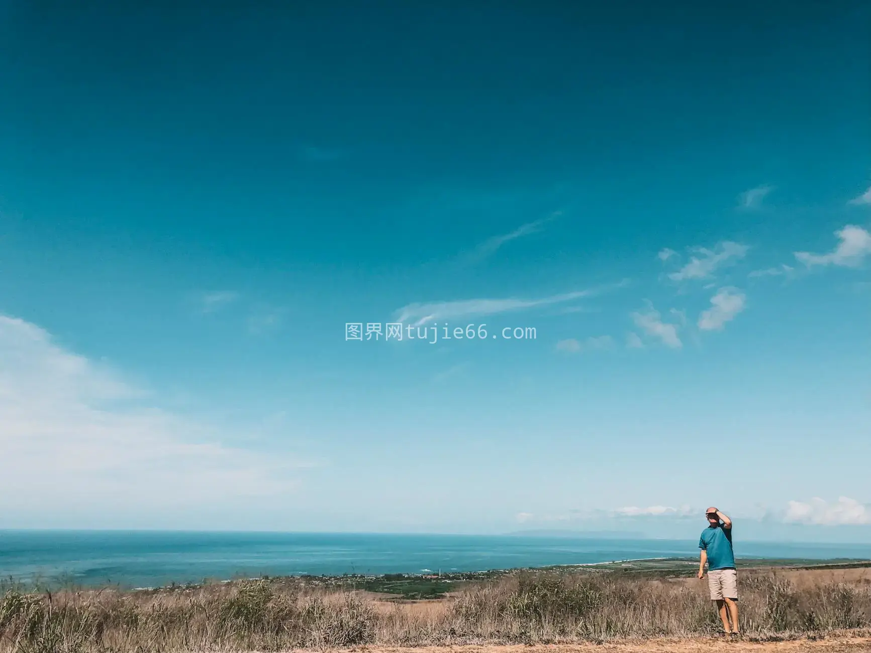 田野望海洋夏日蓝图片