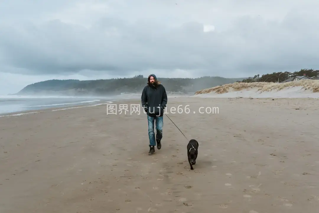 海边遛狗温馨场景图片