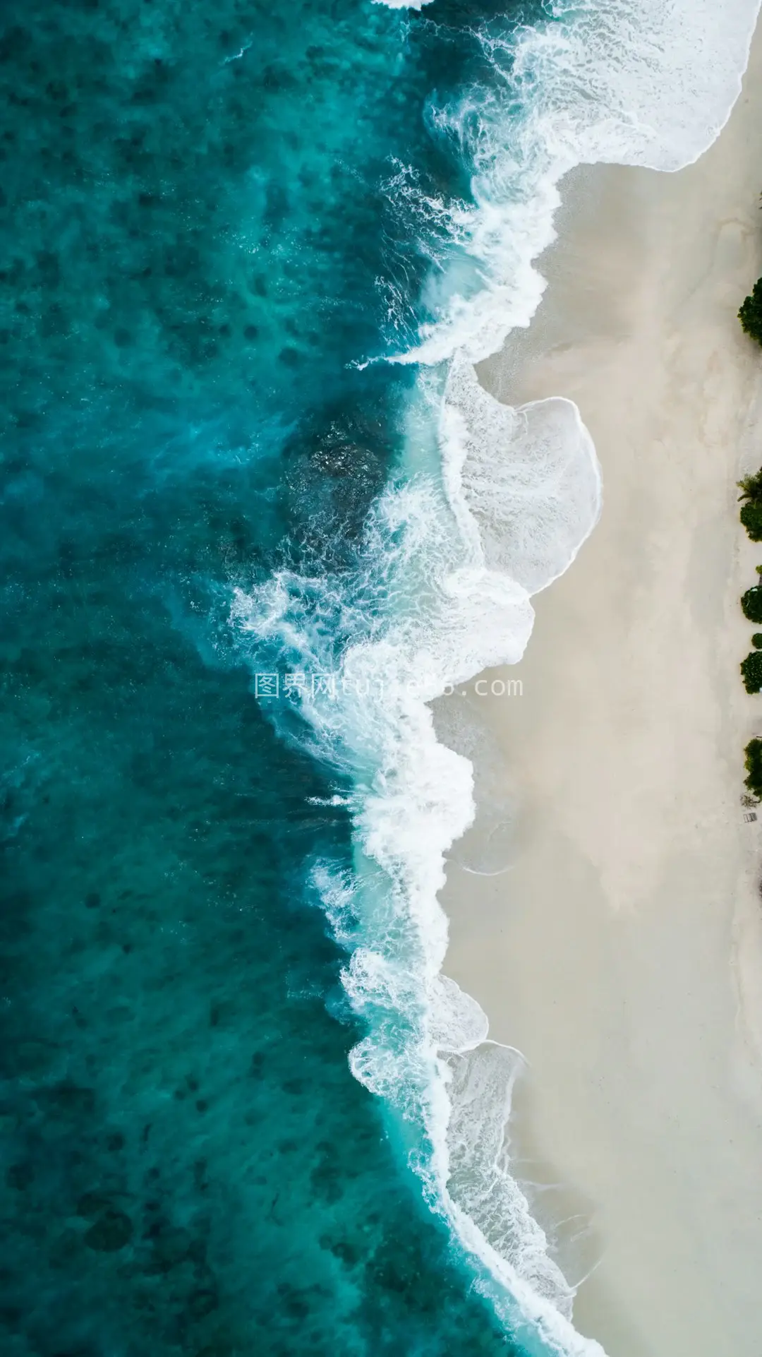 高空瞰水域海岸线景致图片