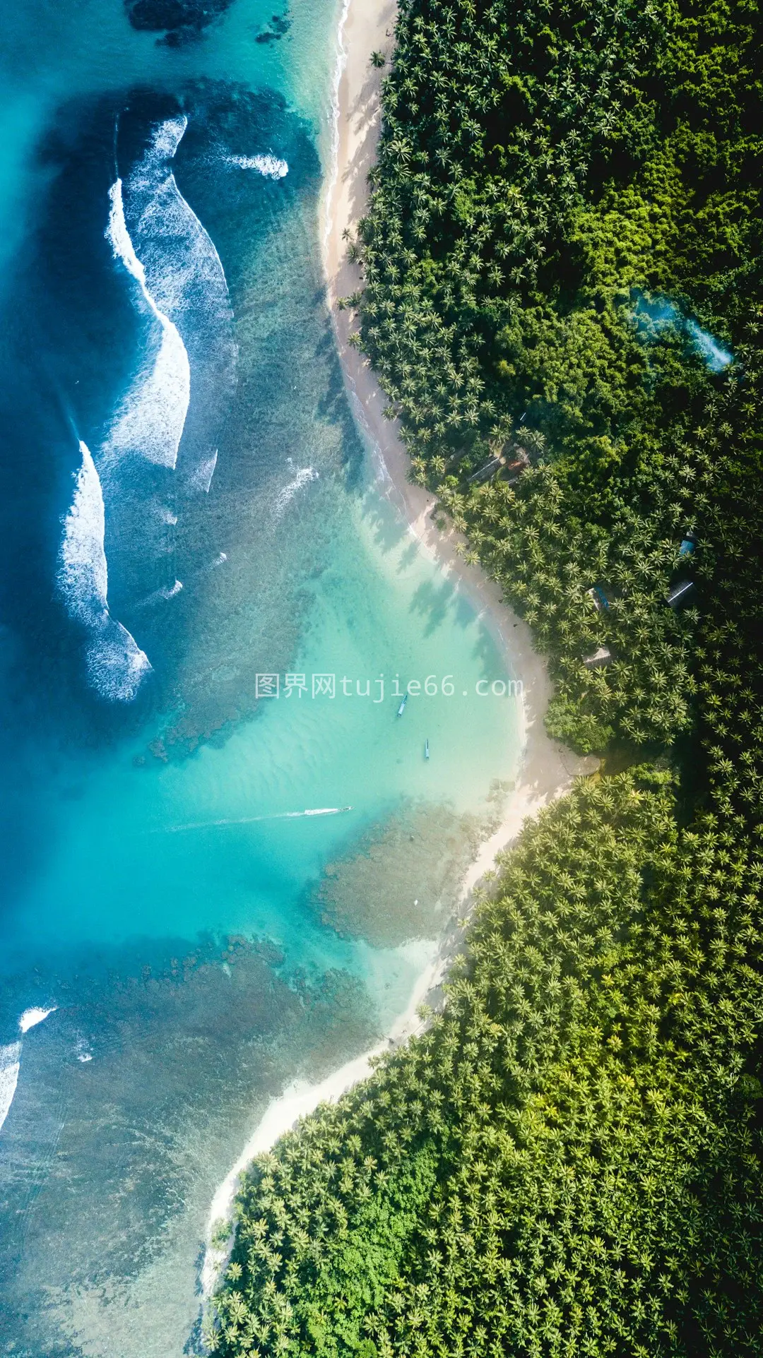 白天树木间河流景致图片