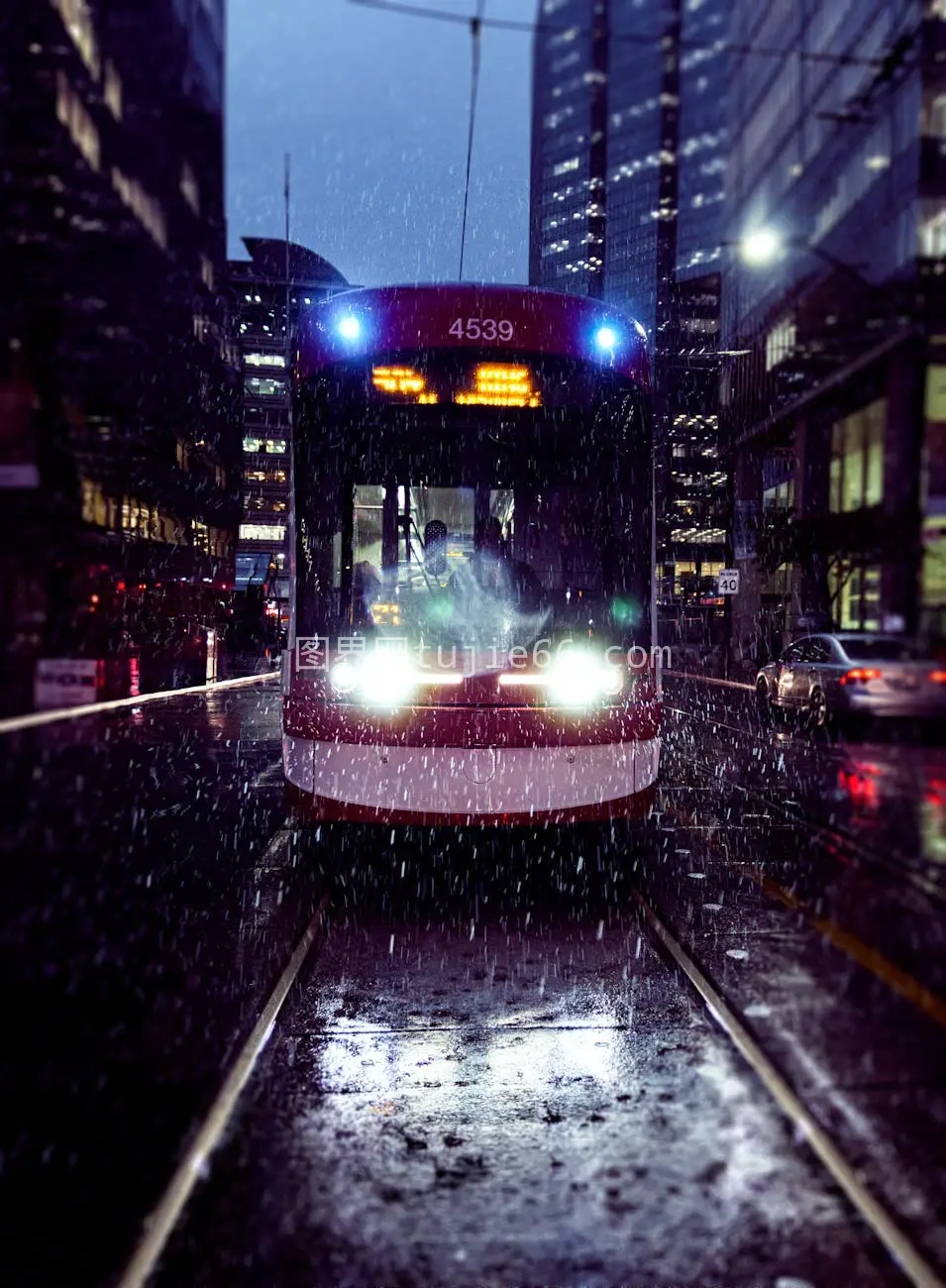 多伦多雨夜电车穿梭城市公交景图片