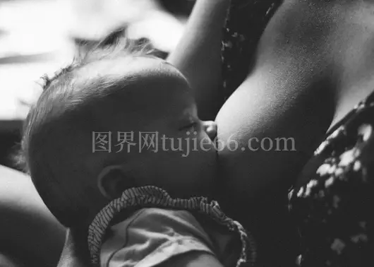 宝宝哺乳温馨时刻