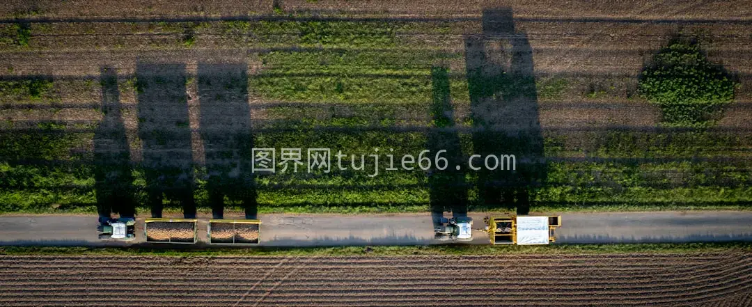 飞机窗映田野风光图片