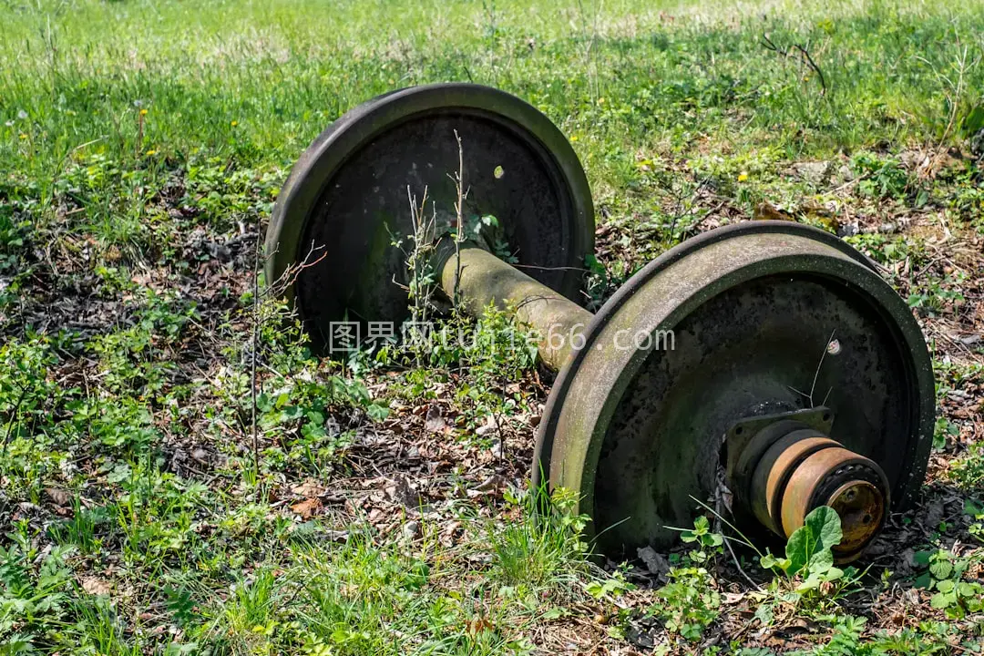 草地金属轮静美图图片