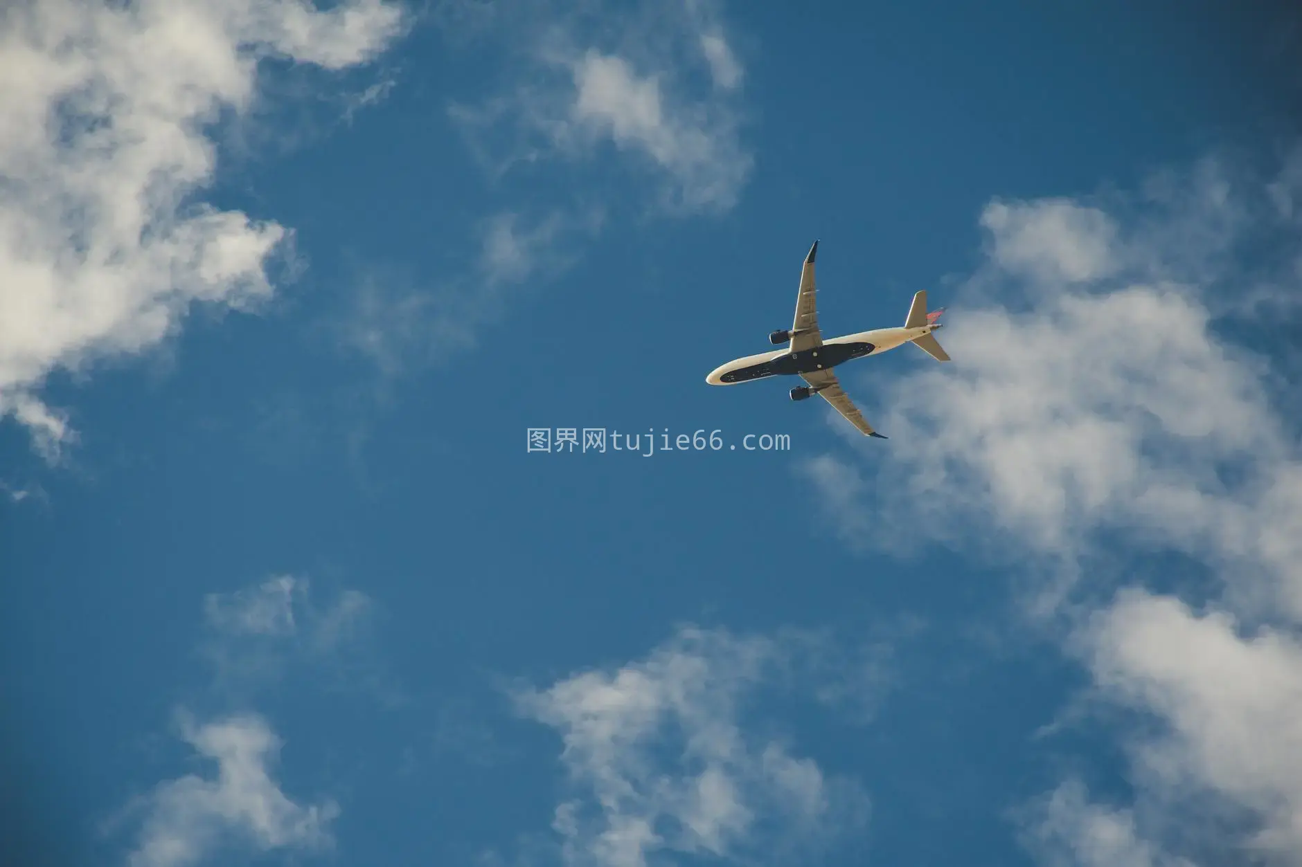 蓝天白云商业飞机高空翱翔图片