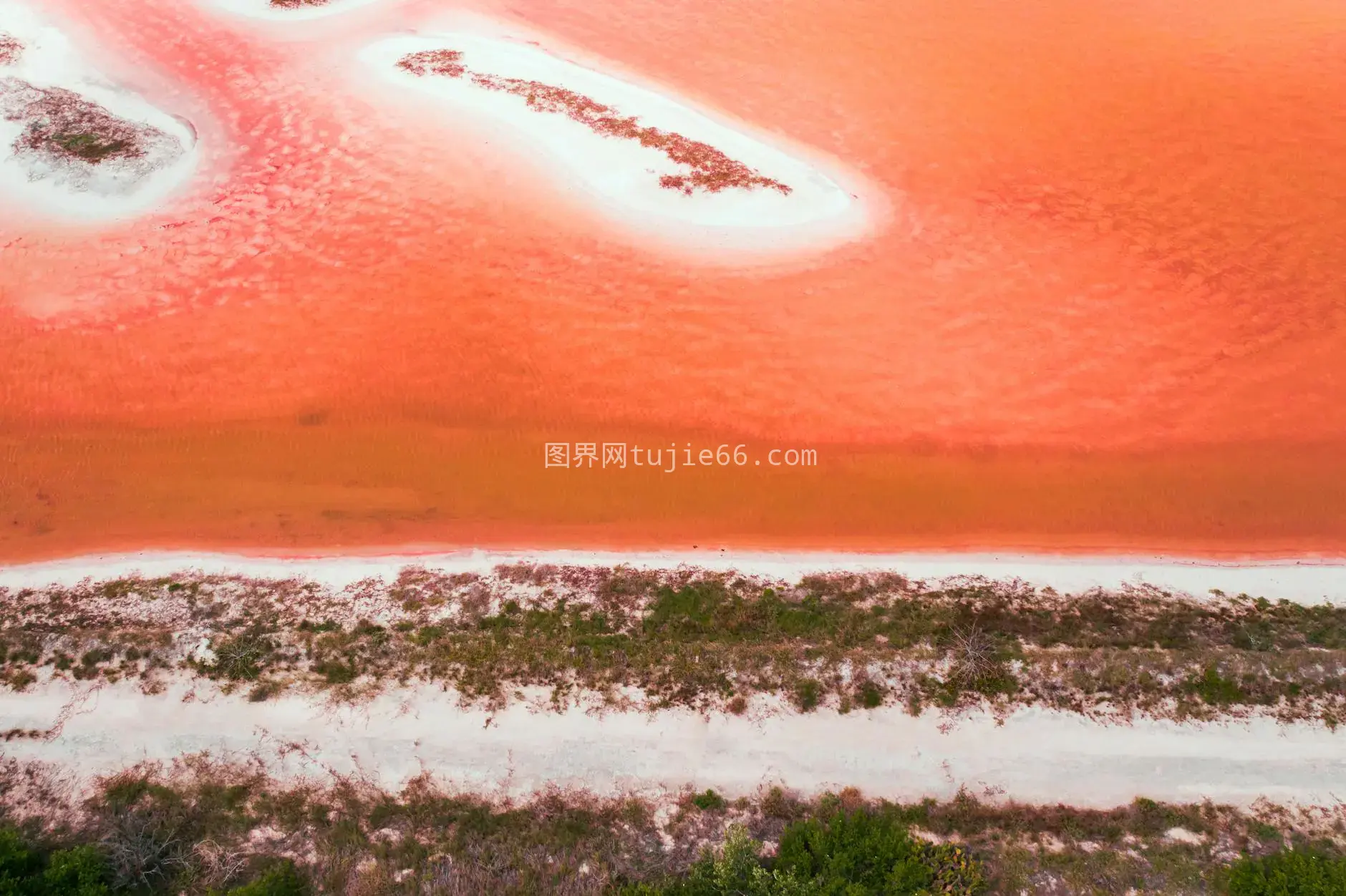 尤卡坦空中粉色橙色泻湖图片