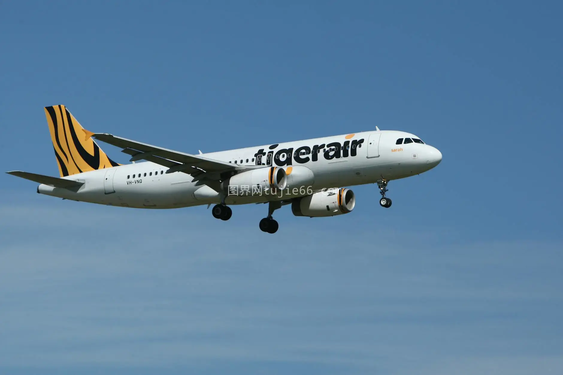 Tigerair商业飞机蓝天翱翔展示航空之美图片