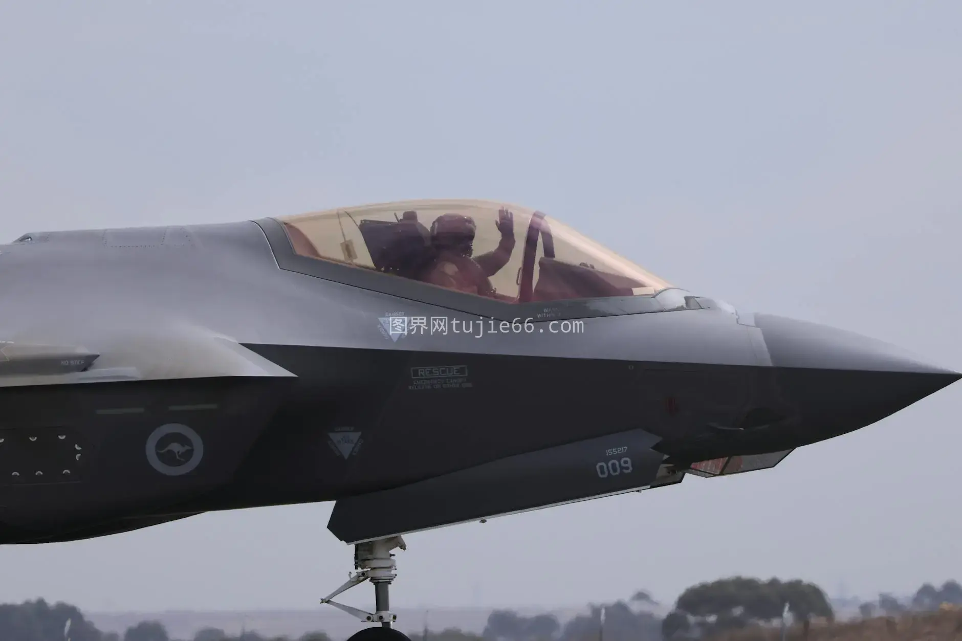 飞行员挥手F-35战斗机Geelong特写图片