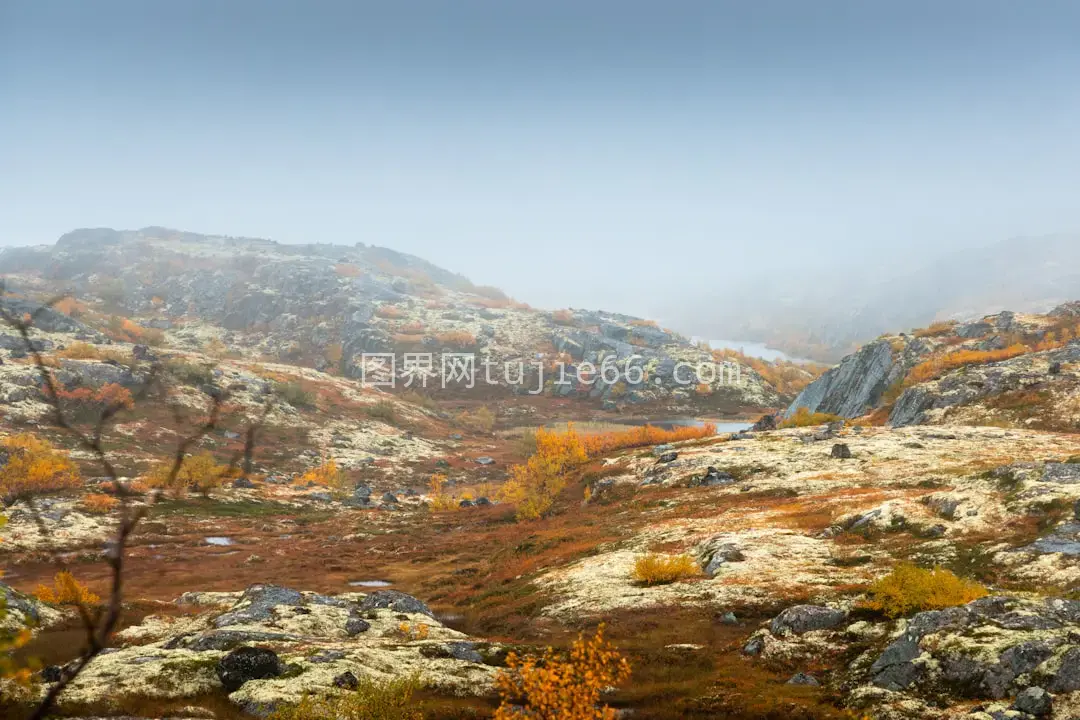 雾漫山景树石间图片