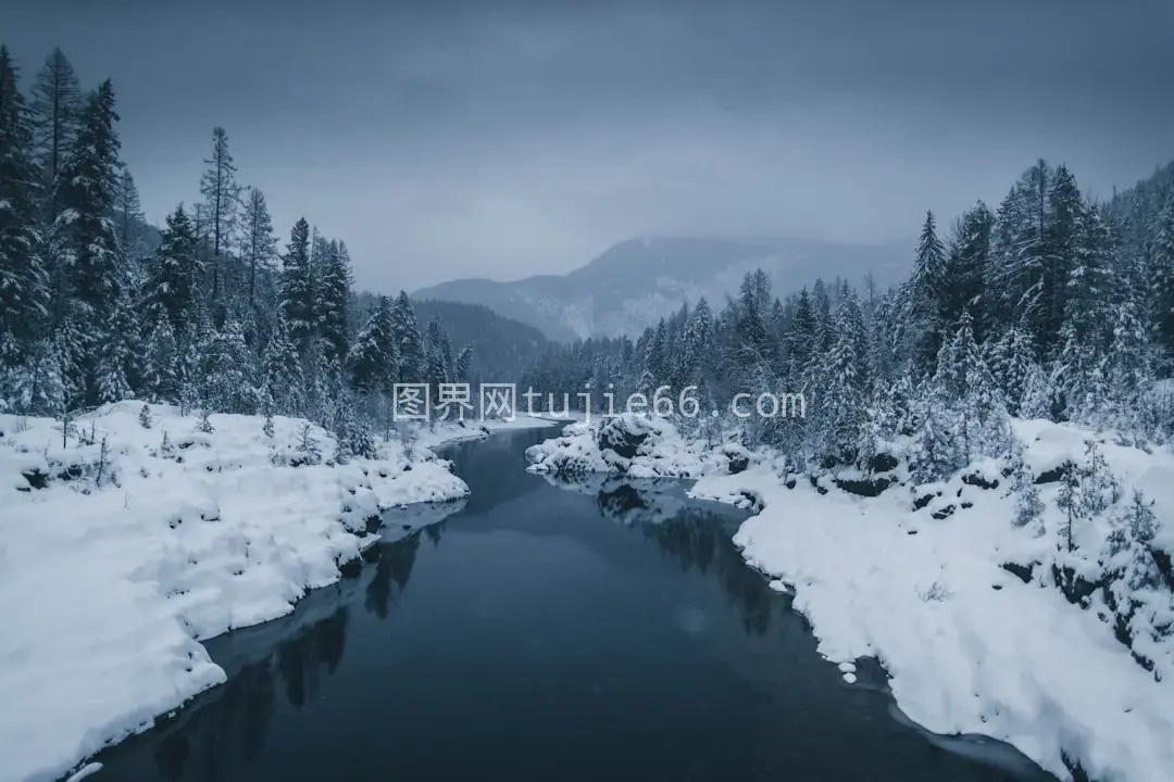 雪域松林环绕之河图片