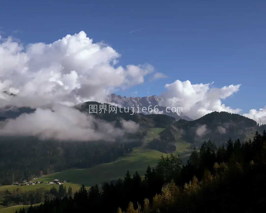 树木山峦风景画卷图片