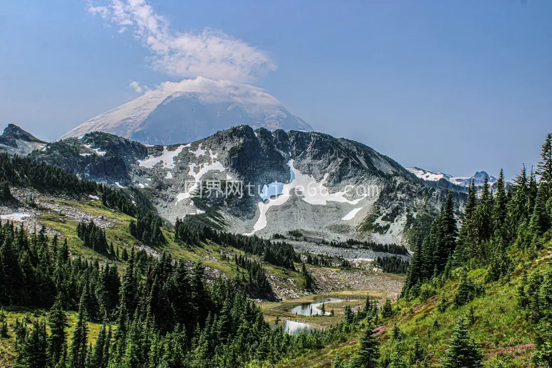 雪山树木环绕山脉景致图片