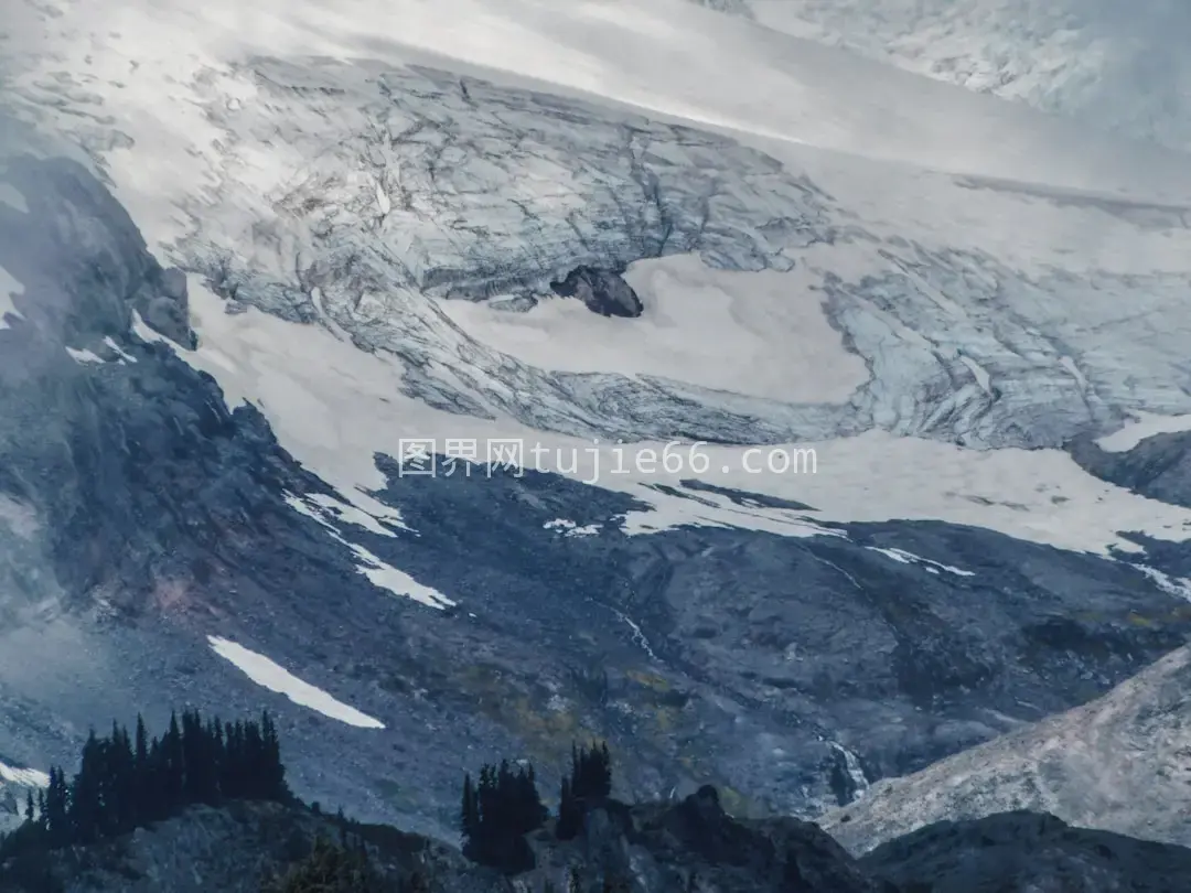 雪覆山峰树木映衬图片