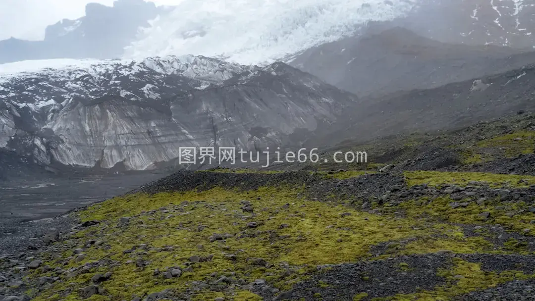 雪覆山峰绿苔生图片