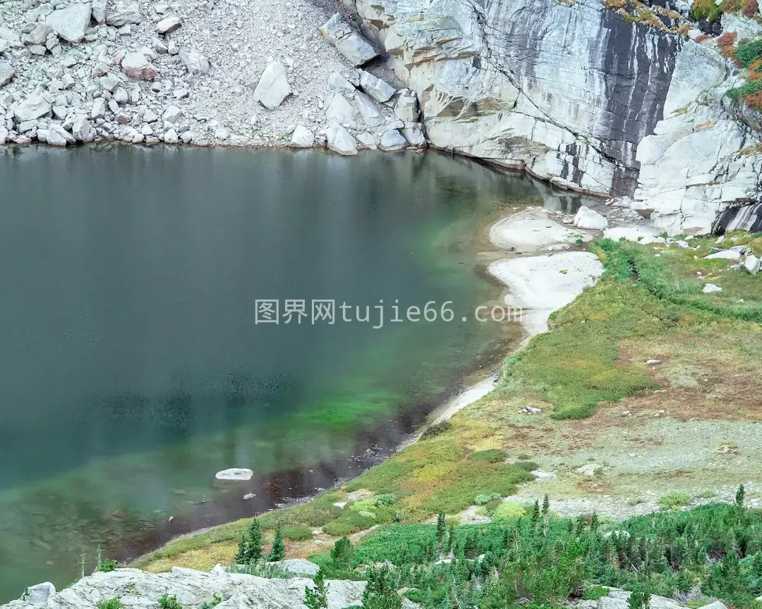 水草环绕岩石景致图片